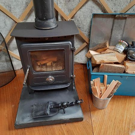 Hotel Ceridwen Glamping, Double Decker Bus And Yurts Llandysul Zewnętrze zdjęcie