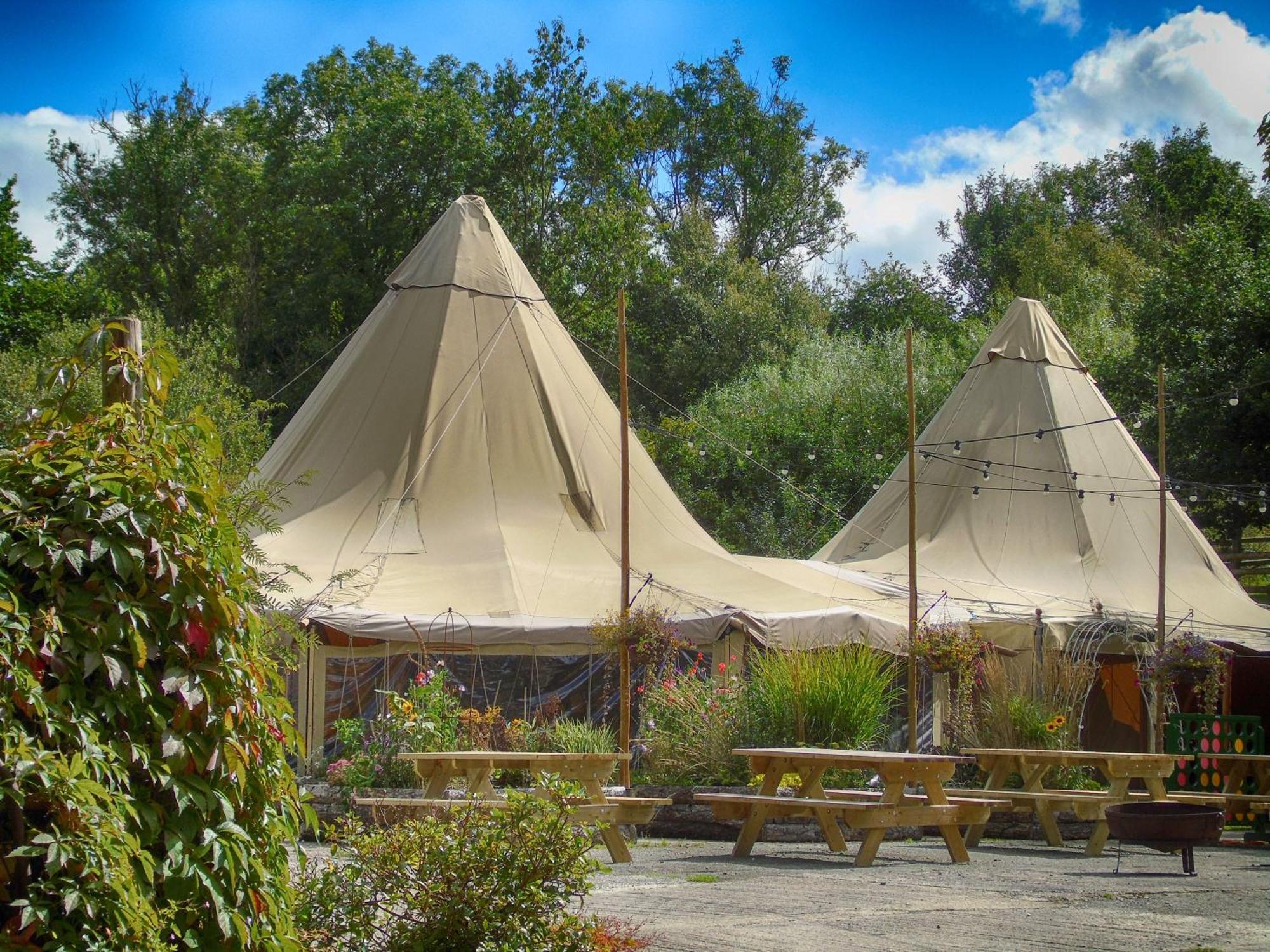 Hotel Ceridwen Glamping, Double Decker Bus And Yurts Llandysul Zewnętrze zdjęcie